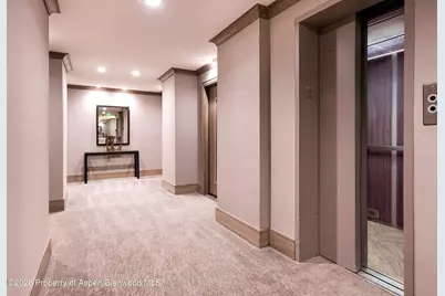 205 E Durant Avenue #1-F, Aspen, CO 81611 - Photo 15