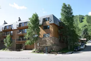 205 E Durant Ave, Aspen, CO 81611 - Photo 13
