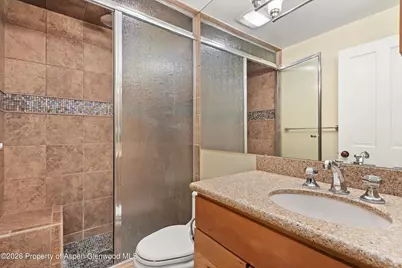 205 E Durant Avenue #1-F, Aspen, CO 81611 - Photo 11