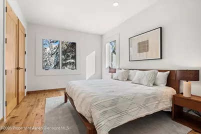 609 W Bleeker Street, Aspen, CO 81611 - Photo 17