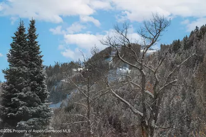 609 W Bleeker Street, Aspen, CO 81611 - Photo 45