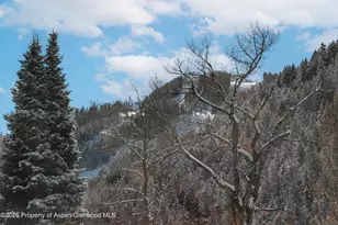 609 W Bleeker St, Aspen, CO 81611 - Photo 45