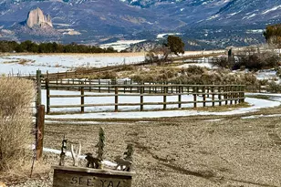 2637 7750 Rd, Crawford, CO 81415 - Photo 19