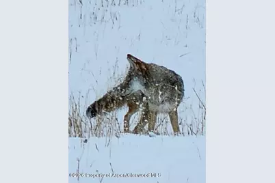 2637 7750 Road, Crawford, CO 81415 - Photo 39