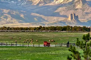 2637 7750 Rd, Crawford, CO 81415 - Photo 37