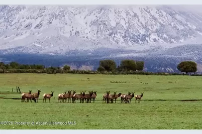 2637 7750 Road, Crawford, CO 81415 - Photo 35