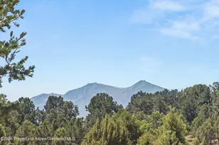 207 Cains Ln, Carbondale, CO 81623 - Photo 17