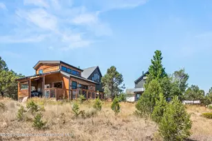 207 Cains Ln, Carbondale, CO 81623 - Photo 31