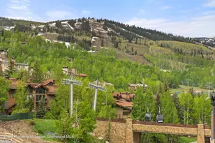 119 Wood Rd, Snowmass Village, CO 81615 - Photo 29
