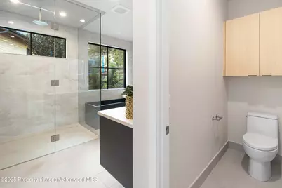 719 Perry Ridge, Carbondale, CO 81623 - Photo 27