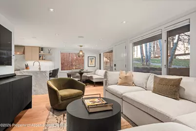 731 S Mill Street #Unit 2D, Aspen, CO 81611 - Photo 9