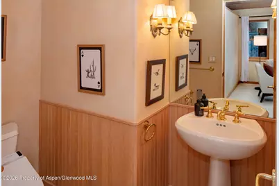 333 W Hopkins Avenue, Aspen, CO 81611 - Photo 5