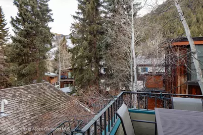 333 W Hopkins Avenue, Aspen, CO 81611 - Photo 17