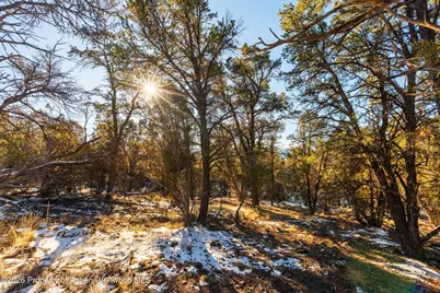 361 Pinon Drive, Glenwood Springs, CO 81601 - Photo 13