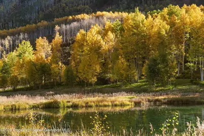 5387 Castle Creek Road, Aspen, CO 81611 - Photo 19