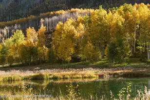 5387 Castle Creek Rd, Aspen, CO 81611 - Photo 19