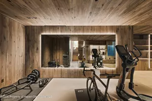 5387 Castle Creek Rd, Aspen, CO 81611 - Photo 13