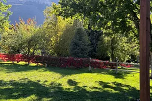 24 Cherry Ln, Emma, CO 81621 - Photo 19