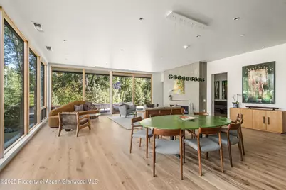 103 Willow Road #101, Basalt, CO 81621 - Photo 5