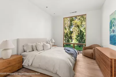 103 Willow Road #101, Basalt, CO 81621 - Photo 13