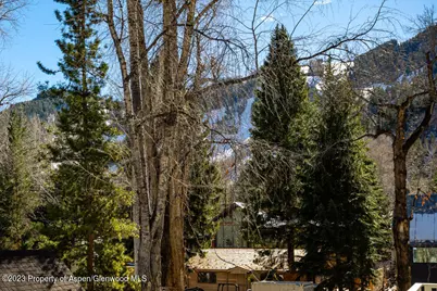 222 W Hopkins Avenue #6, Aspen, CO 81611 - Photo 15