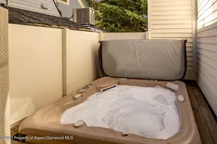 222 W Hopkins Ave, Aspen, CO 81611 - Photo 19