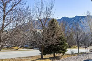 66 Castle Ridge Dr, New Castle, CO 81647 - Photo 19