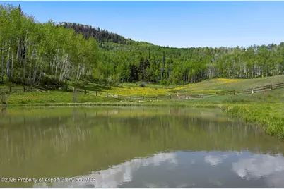 6855 Capitol Creek Road, Snowmass, CO 81654 - Photo 73