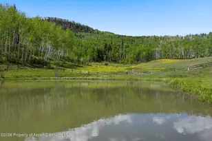 6855 Capitol Creek Rd, Snowmass, CO 81654 - Photo 73