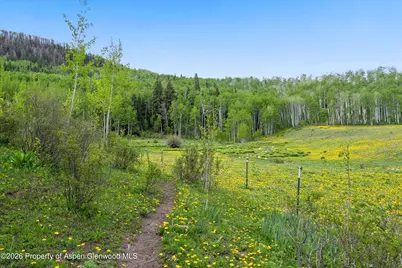 6855 Capitol Creek Road, Snowmass, CO 81654 - Photo 75