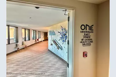 45 Wood Road #501, Snowmass Village, CO 81615 - Photo 37