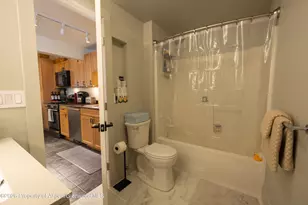 304 Waterview Dr, Snowmass, CO 81654 - Photo 9