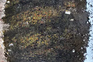 304 Waterview Dr, Snowmass, CO 81654 - Photo 33