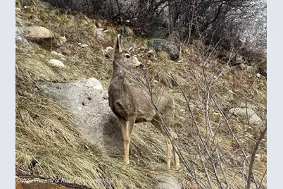 304 Waterview Drive, Snowmass, CO 81654 - Photo 45