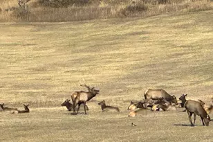 304 Waterview Dr, Snowmass, CO 81654 - Photo 43