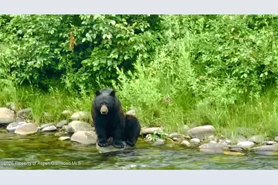 304 Waterview Drive, Snowmass, CO 81654 - Photo 37