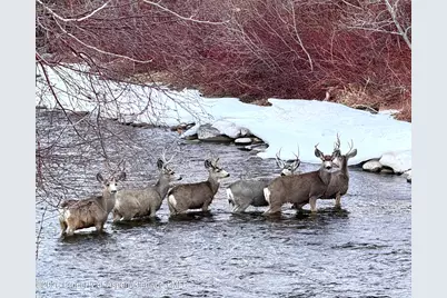 304 Waterview Drive, Snowmass, CO 81654 - Photo 25