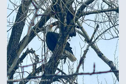 304 Waterview Drive, Snowmass, CO 81654 - Photo 27