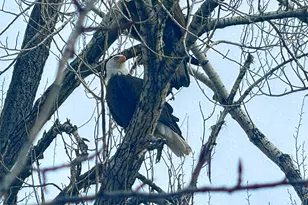 304 Waterview Dr, Snowmass, CO 81654 - Photo 27
