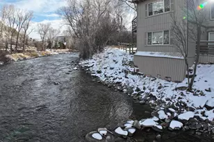 304 Waterview Dr, Snowmass, CO 81654 - Photo 23