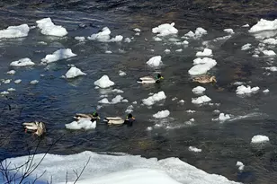 304 Waterview Dr, Snowmass, CO 81654 - Photo 29