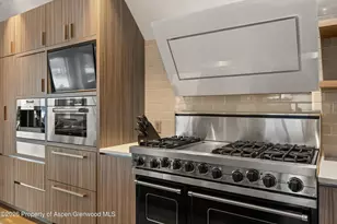 510 Oregon Trail, Aspen, CO 81611 - Photo 21