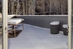 506 W Hallam St, Aspen, CO 81611 - Photo 19