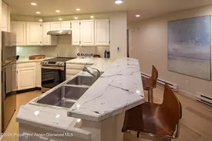 506 W Hallam St, Aspen, CO 81611 - Photo 11