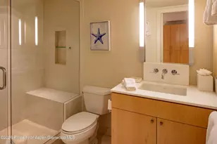 506 W Hallam St, Aspen, CO 81611 - Photo 15