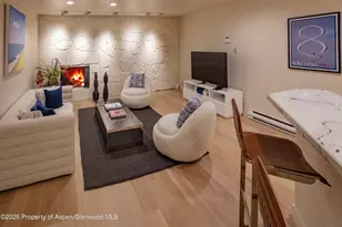 506 W Hallam St, Aspen, CO 81611 - Photo 13