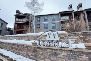 690 Carriage Way, Snowmass Village, CO 81615 - Photo 5