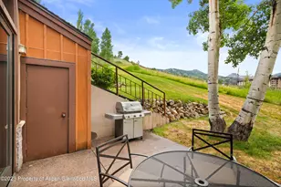 810 Ridge Rd, Snowmass Village, CO 81615 - Photo 19