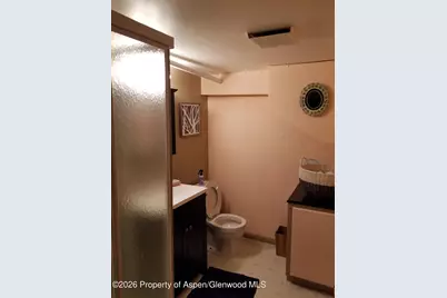 262 Midland Avenue, Basalt, CO 81621 - Photo 39