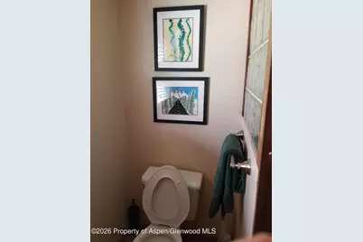 262 Midland Avenue, Basalt, CO 81621 - Photo 37